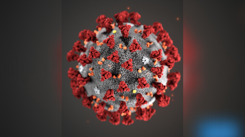 Corona virus